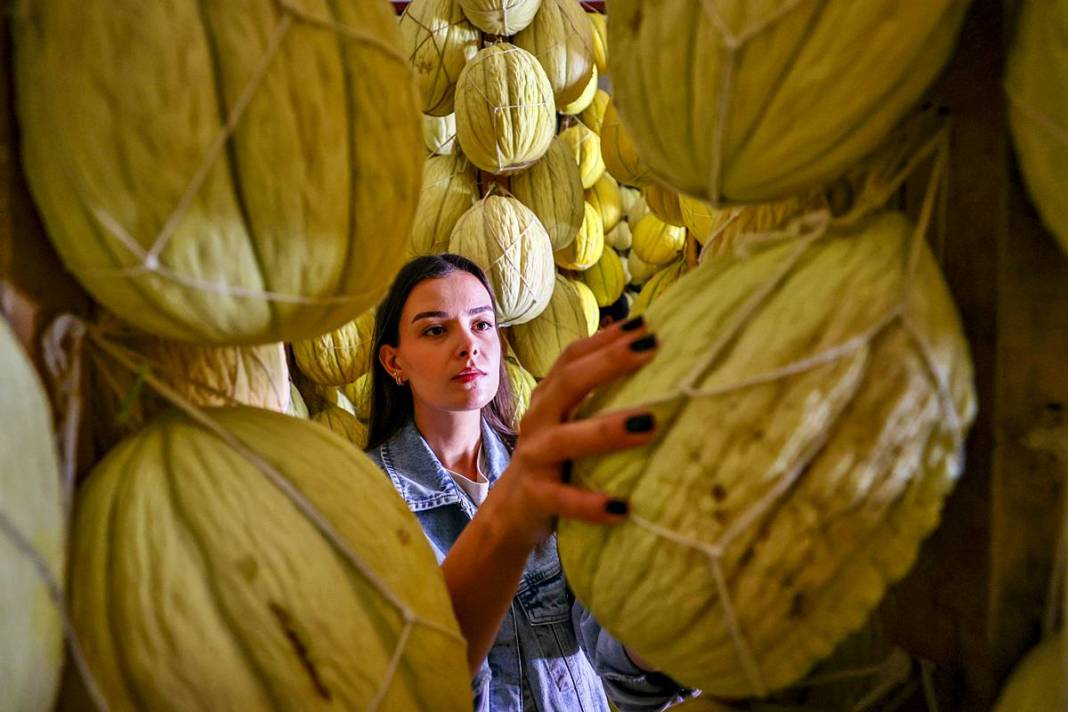 AB onaylı lezzet! Kırkağaç kavunu, kış aylarında da tezgahlarda 1